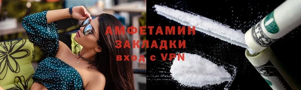 индика Богданович
