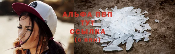 индика Богданович