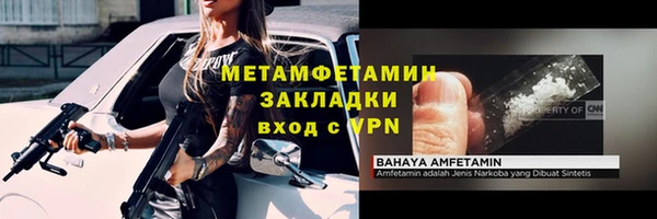 индика Богданович