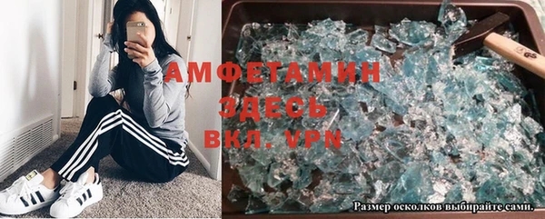 индика Богданович