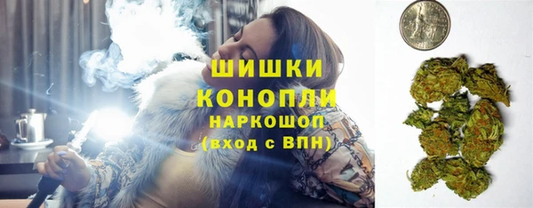индика Богданович